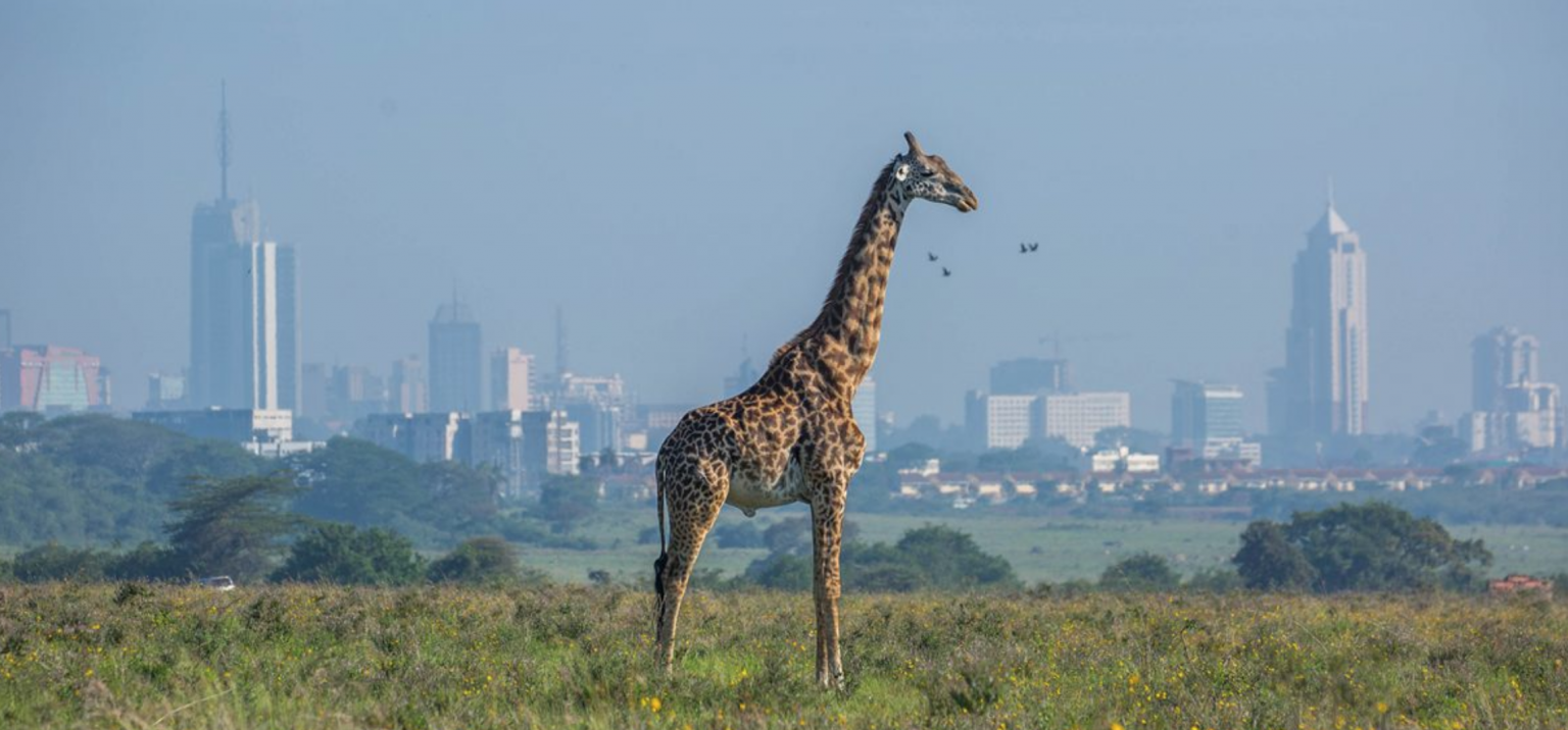 The 5 Safest Places To Visit In Africa Travel Smarter   Screen Shot 2020 04 08 At 8.27.29 PM 1536x716 